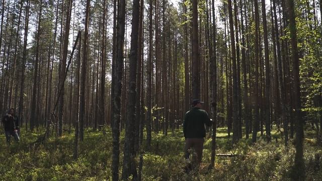 Поход. Озеро Вад. Республика Коми. смотреть онлайн