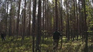 Поход. Озеро Вад. Республика Коми.