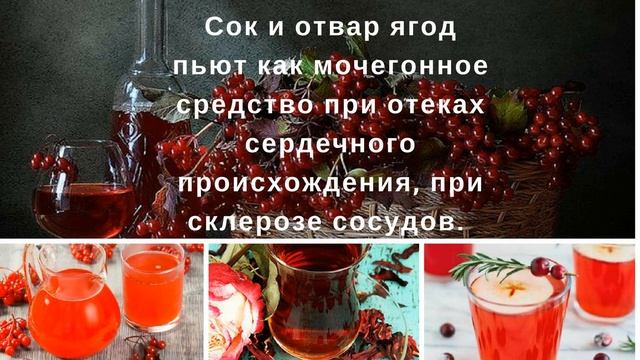 Народная медицина. Ягода Калина красная. смотреть онлайн