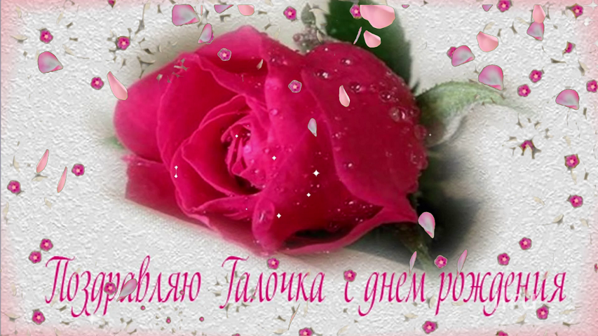 С днем рождения,Галина. Красивое поздравление с днем рождения. С Днем Рождения поздравляю!