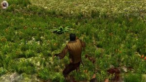 Corsairs Ship Pack #1/Подробный гайд/Советы/Хитрости/Как правильно начать/PIRATES/Шип пак v2.1.4