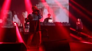 Порез на собаке - Проспал live