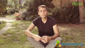 Как удобрять газон осенью