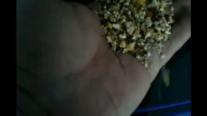 Аэродинамические сепараторы САД. Очистка и калибровка кукурузы