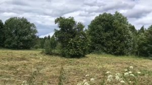 ДАУНШИФТИНГ: итоги, перемены, будущее