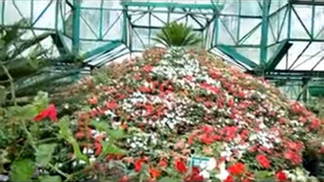 ooty botanical garden смотреть онлайн