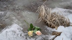 Человек жив, пока о нём помнят!