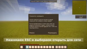Как поиграть с другом в Vintage Story по онлайну, мультиплеер. Пиратка