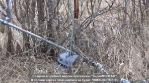 Кусторез ИНТЕРСКОЛ КБ 25/43. Отзыв.