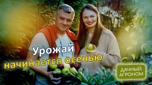 ОСЕНЬЮ Одна ложка под куст Две под дерево и Сад будет ломиться от урожая