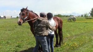 Сернур. Н.Петухов учит ребят верховой езде на лошадях