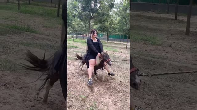 Lady riding a pony