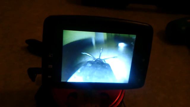 Aqua Spy vedenalaiskamera kiinnitettynä madepilkkiin смотреть онлайн