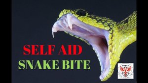 SELF AID - SNAKE BITE!/ УКУС ЗМЕИ - ПЕРВАЯ ПОМОЩЬ/САМОПОМОЩЬ