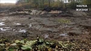 Во Владимирской области Озеро ушло под землю вместе с рыбой