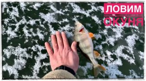 Зимняя рыбалка на пруду ловим окуня