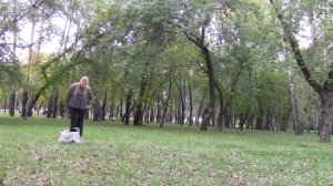 Фристайл танец