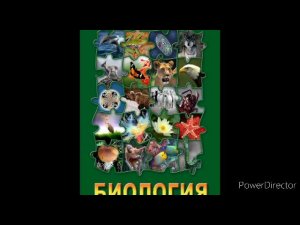 #20 Класс двудольные. Семейство крестоцветные. Биология 7 кл.