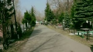 Гражданская Оборона "Осень"