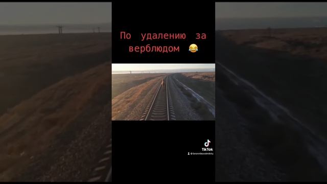 По удалению за верблюдом ?#рекомендации #новинка #поезда #железнаядорога #тренды #moments смотреть онлайн