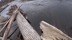 Ленок на муху , горная рыбалка Приморский край 2022