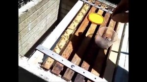 Как закрепить рамки в улье для перевозки