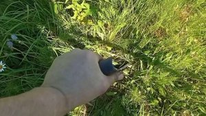 #24 Поиск монет и металла