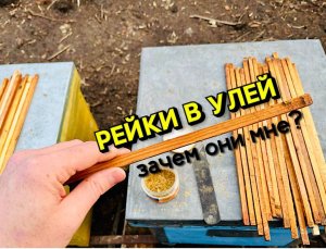 Мое мнение о между рамочных рейках для улья пчел.