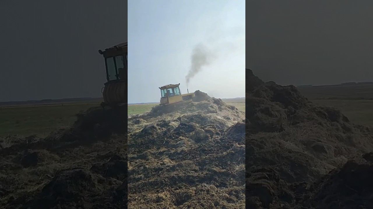 75ка -ТОП! смотреть онлайн