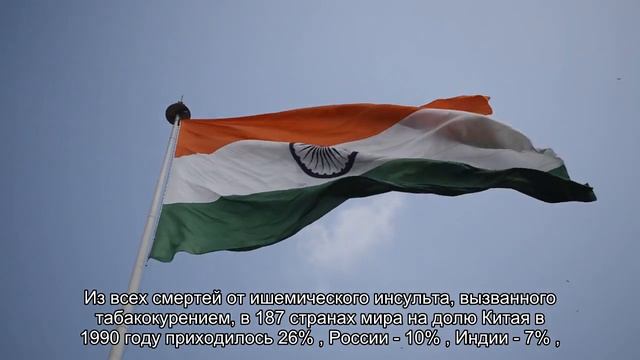 Россияне умирают от табака в 4 раза чаще, чем жители США смотреть онлайн