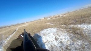 Охота на зайца зимой возле заброшенного военного горнизона.