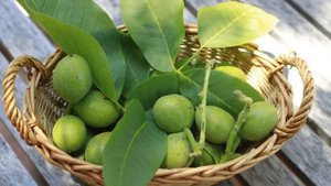 Мед с грецкими орехами для мужчин