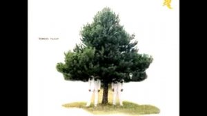 Tosca - Song - Kruder & Dorfmeister Erik Satie Harold Budd Eluvium Ambient Piano