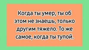 Про дураков! ? Подборка лучших смешных до слез коротких анекдотов про дураков без мата.