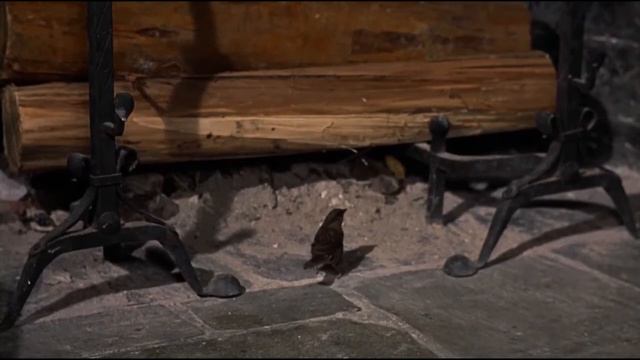 Alfred Hitchcock- The Birds Video Essay смотреть онлайн