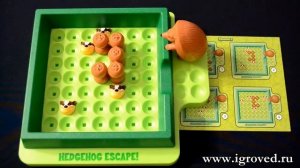 Спасите ёжиков! Обзор настольной игры-головоломки от Игроведа