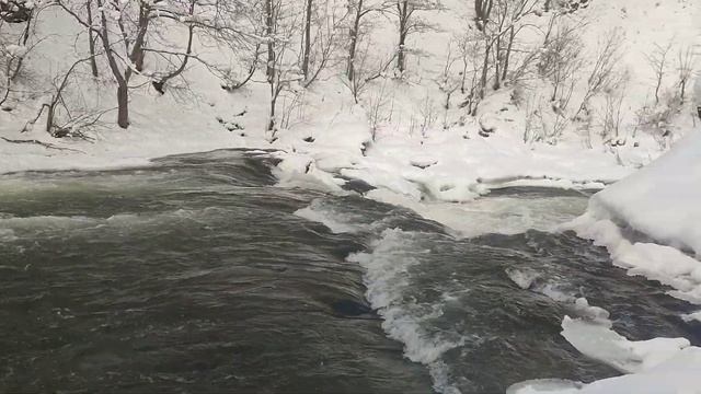 Сахалин. Быковские пороги на речке Красноярке.3 декабря 2023. Пешком туда-обратно 8 км. смотреть онлайн