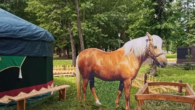 День России 2022.mp4