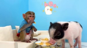 Monkey Baby Bon Bon eats yellow watermelon with ducklings and goes shark fishing in the garden