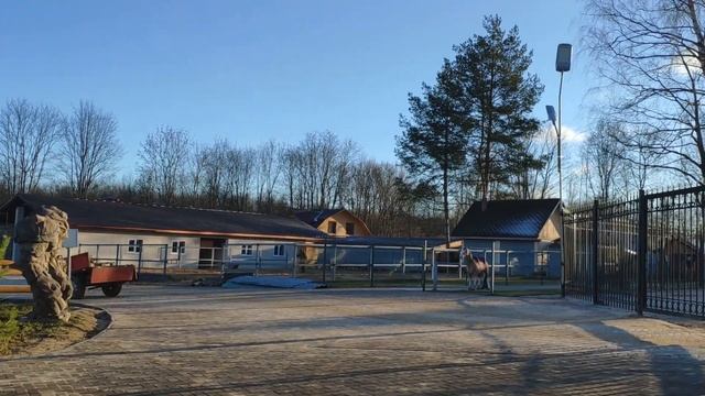 Осенняя прогулка по мармеладному царству смотреть онлайн