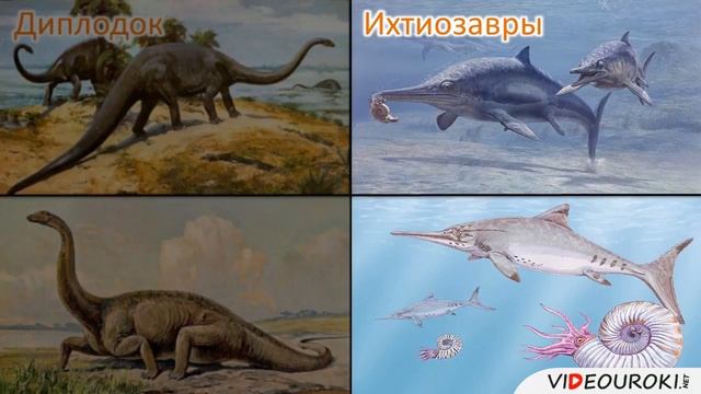 Происхождение пресмыкающихся 7 класс