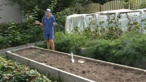 Как подготовить грядку для посадки чеснока или лука