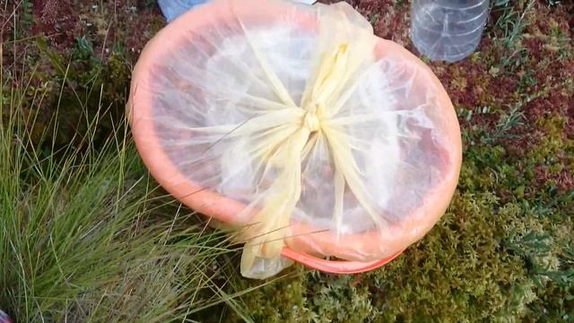 В болото на велосипеде за клюквой смотреть онлайн