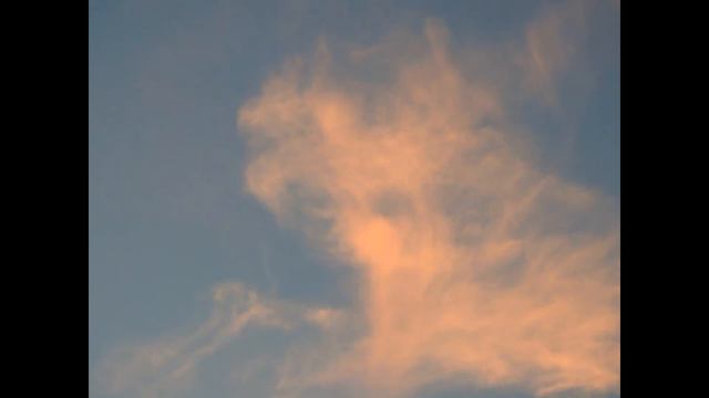 Gladiolus смотреть онлайн