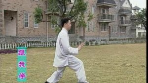 Тайцзи 24 формы учебный фильм из Шаолиня вид со спины
