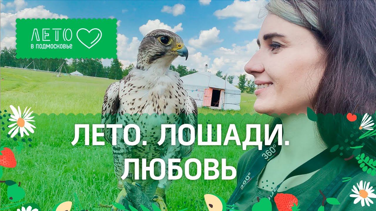 Лето. Лошади. Любовь. Маршрут выходного дня к отшельнику и его соколам и ночёвка в конном центре
