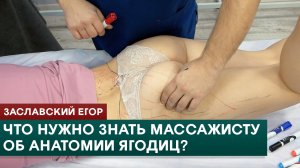 Что нужно знать массажисту об анатомии ягодичных мышц? Заславский Егор