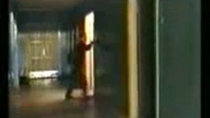 домино в доме