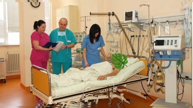 2023 Автобусом в Болгарию из Стамбула. Цена, расписание, бронирование трансфер Визы Медицина Новост