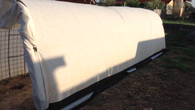 53.Посадка помидор в открытый грунт под укрытие.